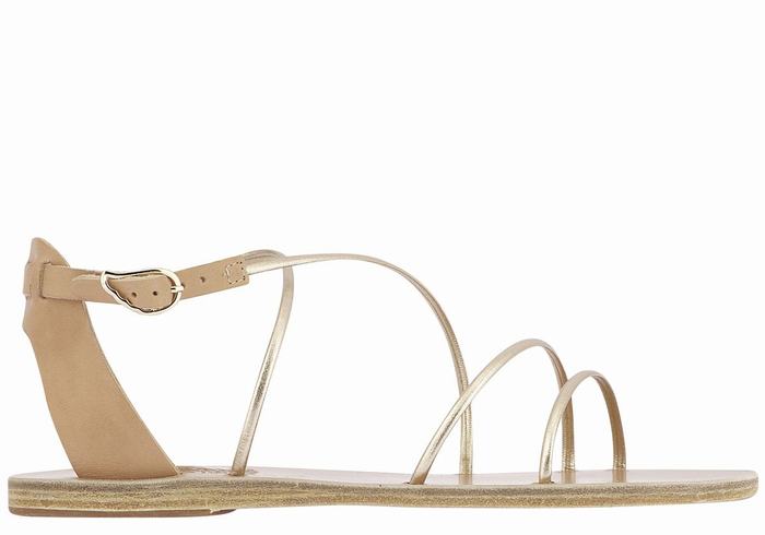 Sandales Bride Cheville Ancient Greek Sandals Meloivia   | EBA-2793130